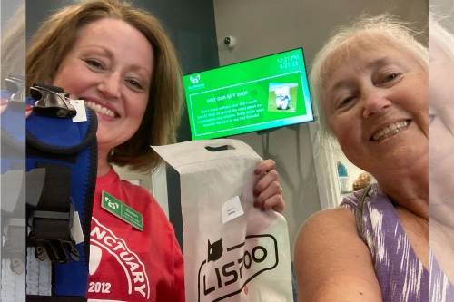 Pass on Love | LOVEPLUSPET | Donation Activity for Dogs