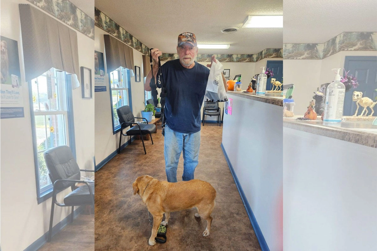 Pass on Love | Donation Dog Torn Acl Brace  Activity | LOVEPLUSPET