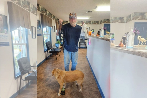 Pass on Love | Donation Dog Torn Acl Brace Activity | LOVEPLUSPET