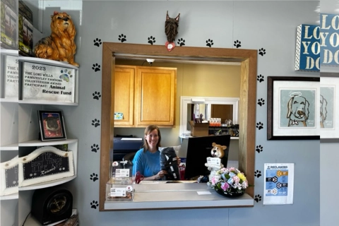 LOVEPLUSPET | Donation Activity for Dogs