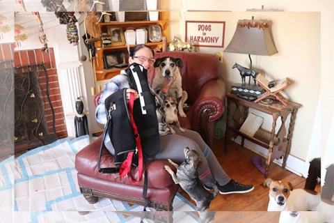 Donation from LOVEPLUSPET to DOGS IN HARMONY