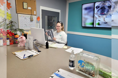 Donation from LOVEPLUSPET to Camden Delaware Animal Center