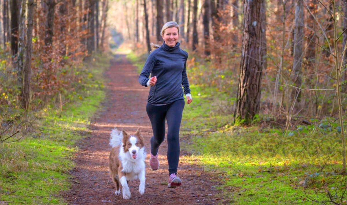Are Dog Treadmills a Good Idea?