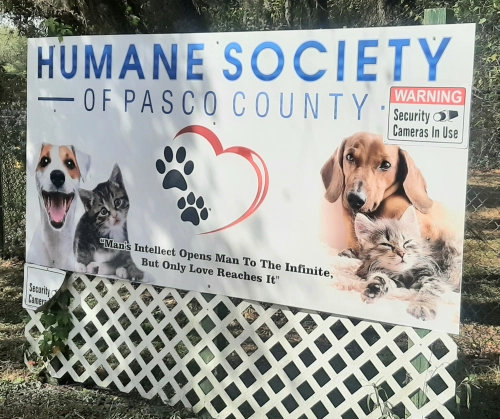 Donation from LOVEPLUSPET to HUMANE SOCIETY——OF PASCO COUNTY