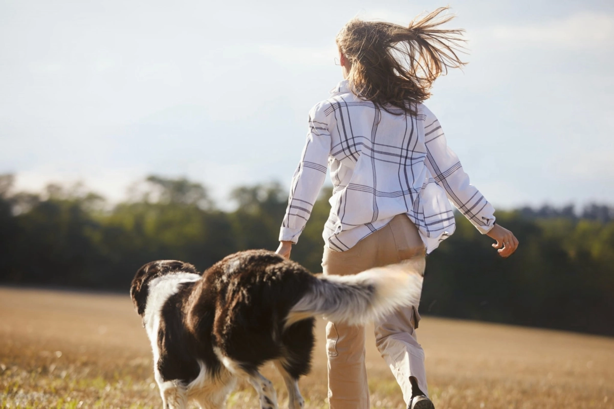 How to Help Older Dogs' Hips?