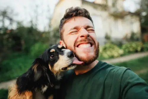How to Treat Hip Dysplasia in Dogs
