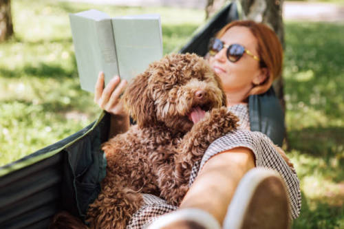 How to Deal with Anxiety in Dogs