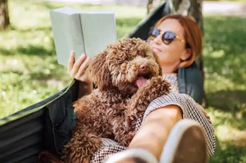 How to Deal with Anxiety in Dogs