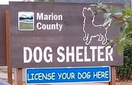 The Legacy of Life: The Story of Stent Donation