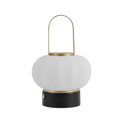 Getglow LED Handheld Flower Bulb Light 01