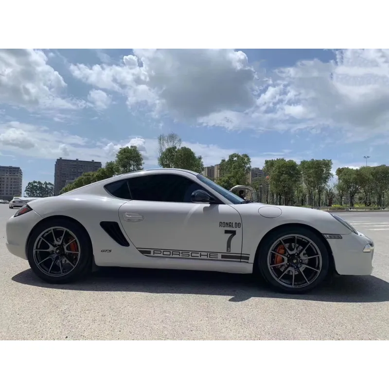 Super Gloss Ash Gray Car Vinyl Wrap