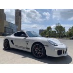 Super Gloss Ash Gray Car Vinyl Wrap