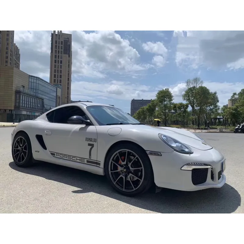 Super Gloss Ash Gray Car Vinyl Wrap