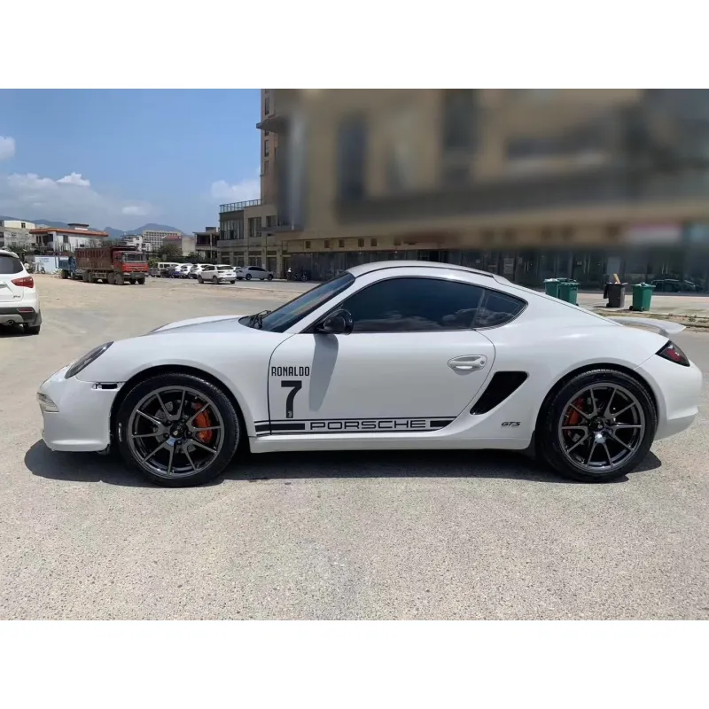 Super Gloss Ash Gray Car Vinyl Wrap