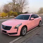 Gloss Rouge Pink Car Vinyl Wrap
