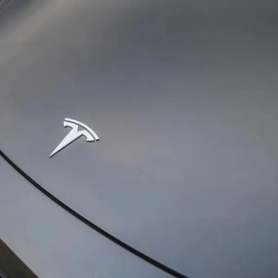 Metal Paint Wolfram Steel Car Vinyl Wrap 02