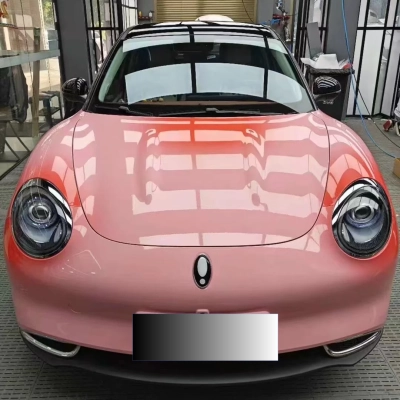 Shy Blushing Pink Custom Car Vinyl Wrap 01