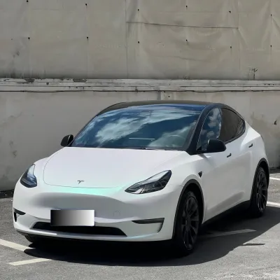 Tesla Matte Aurora White Car Vinyl Wrap 02