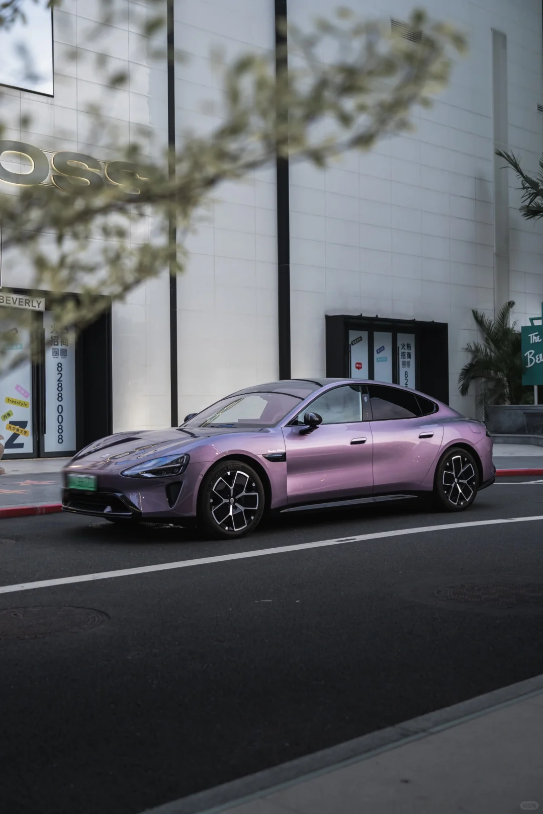 PET Sunshine Purple Car Vinyl Wrap