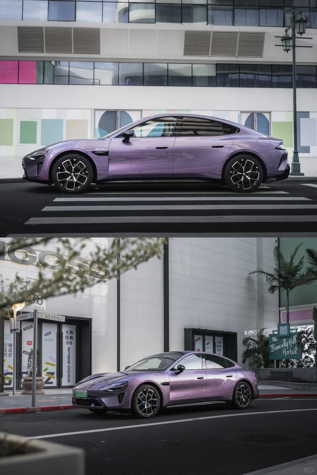 PET Sunshine Purple Car Vinyl Wrap