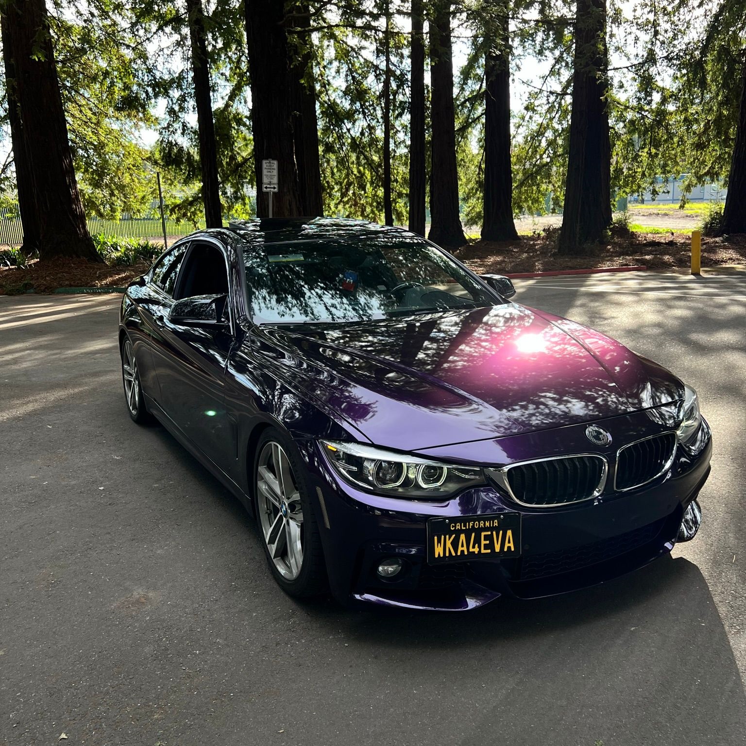 PET Gloss Metallic Midnight Purple Car Vinyl Wrap