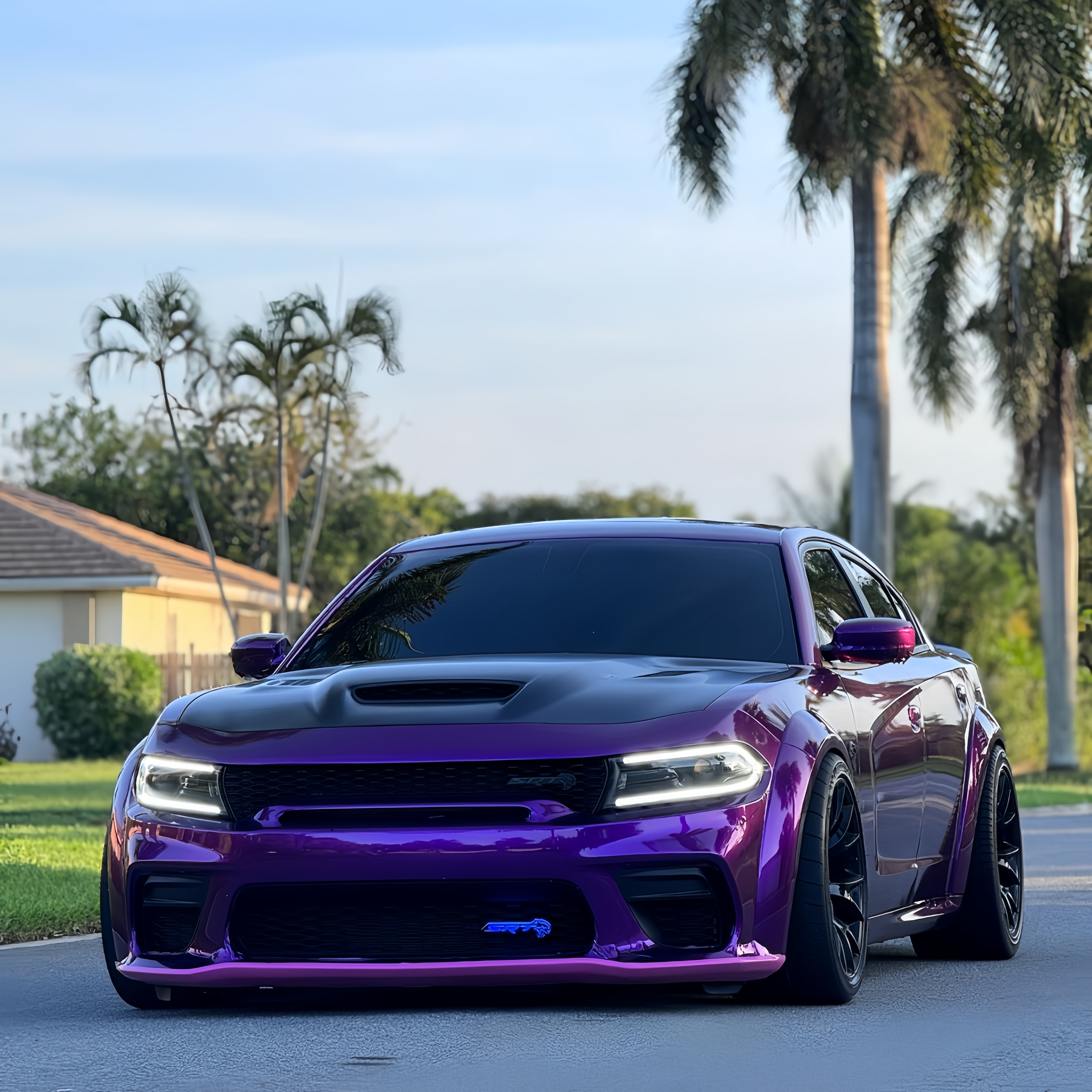 Gloss Metallic Grape Purple Car Vinyl Wrap