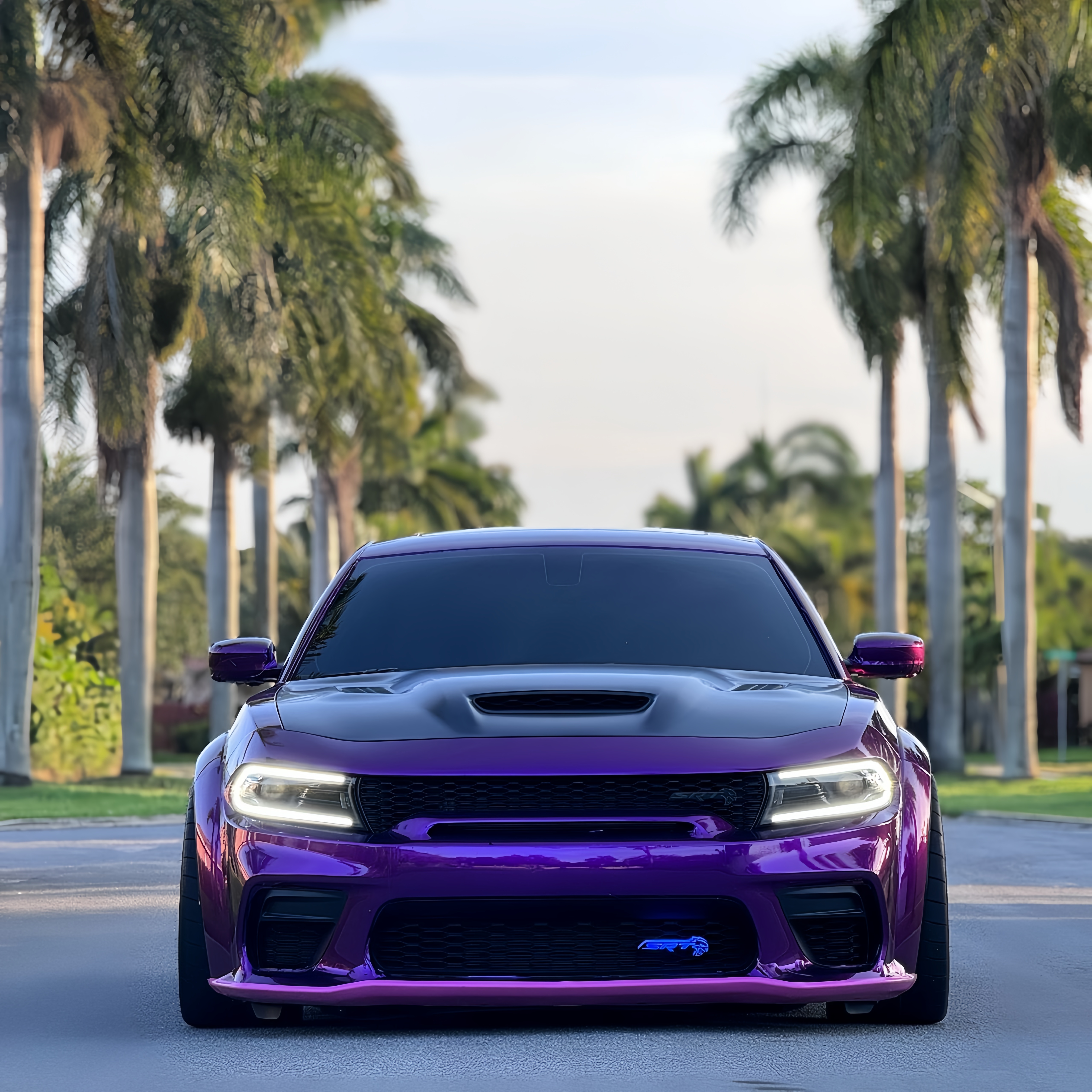 Gloss Metallic Grape Purple Car Vinyl Wrap
