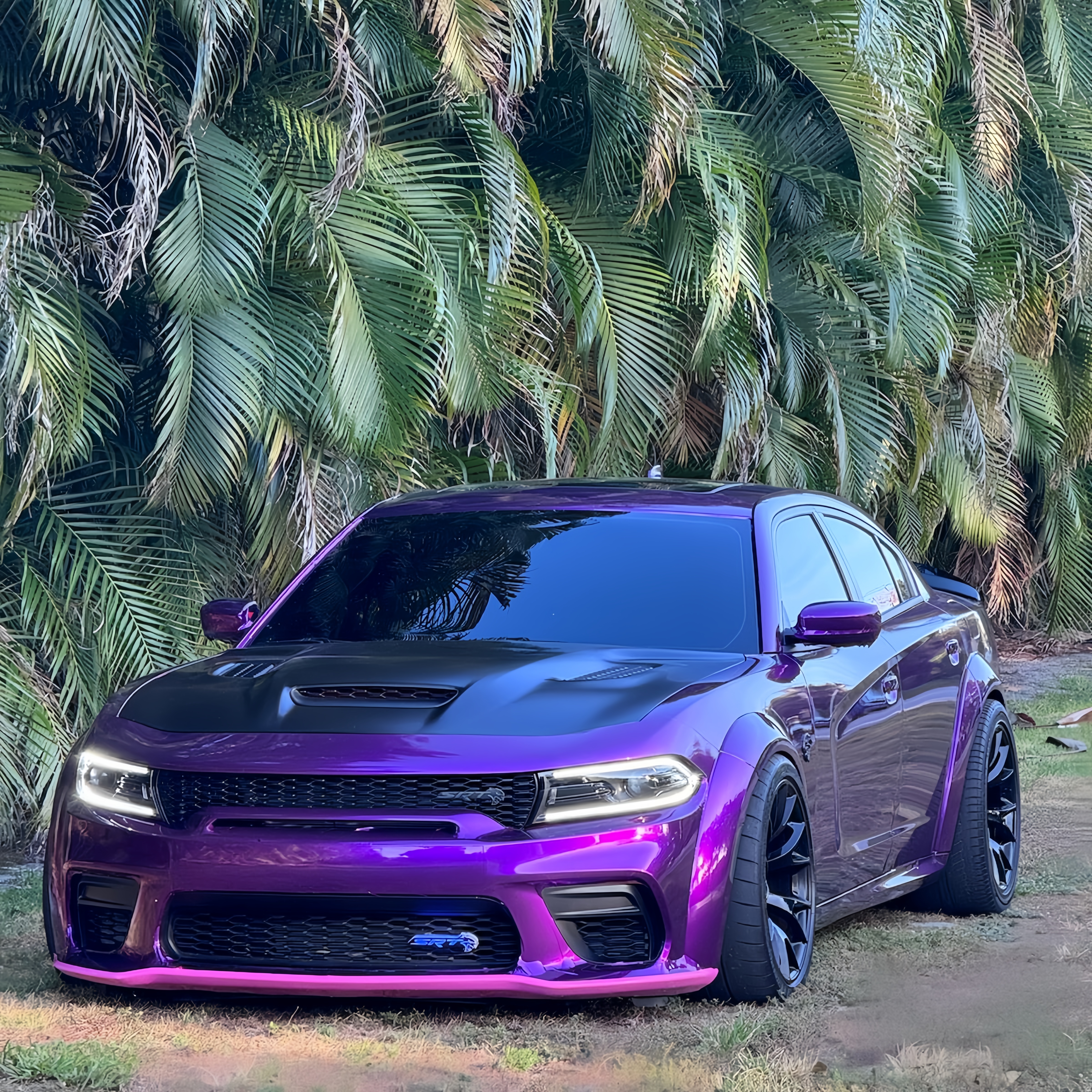 Gloss Metallic Grape Purple Car Vinyl Wrap