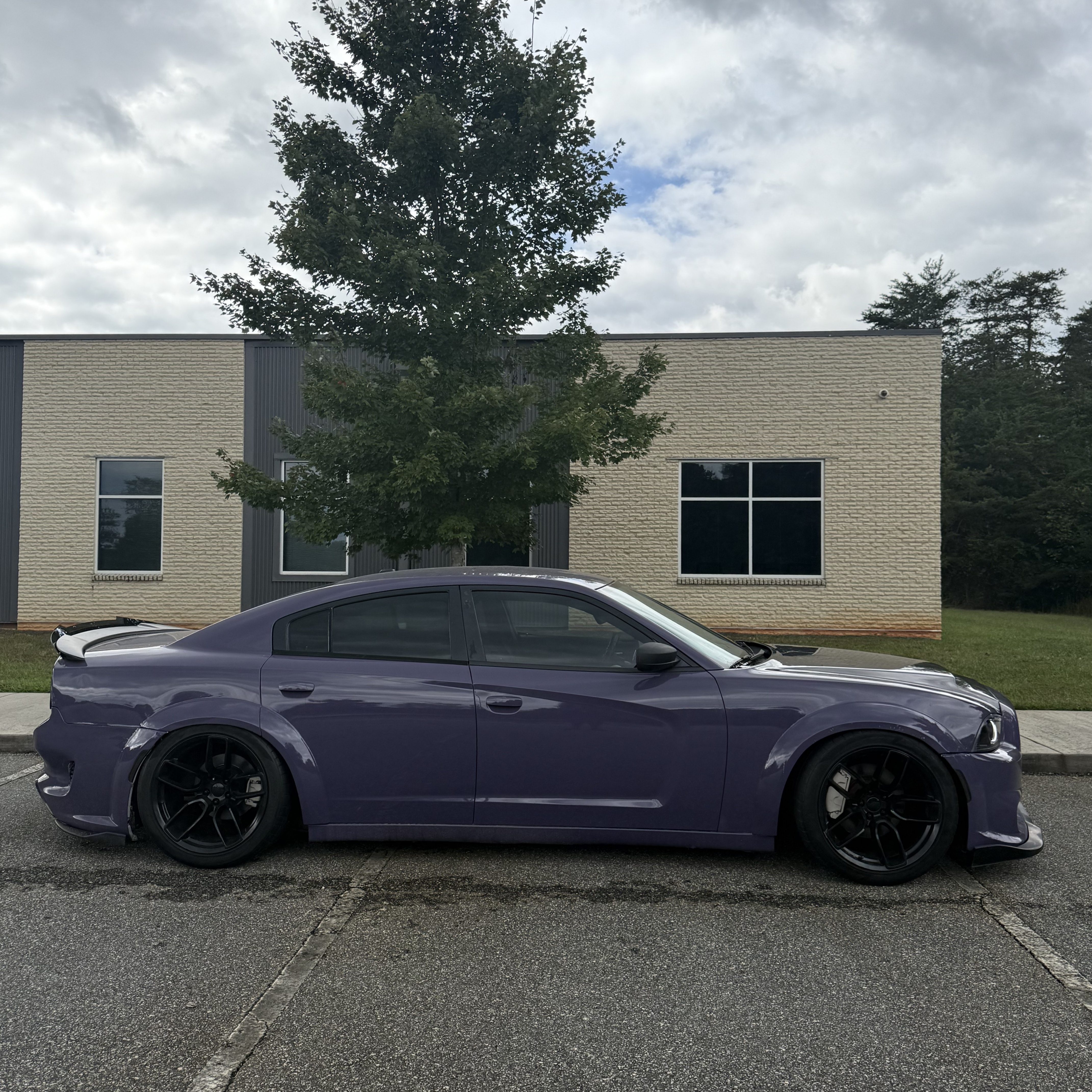 PET Negroni Purple Car Vinyl Wrap