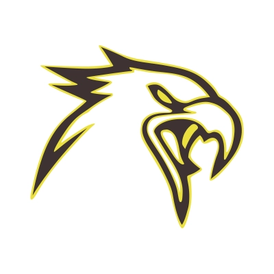 Sticker Car Vinyl Wrap 01