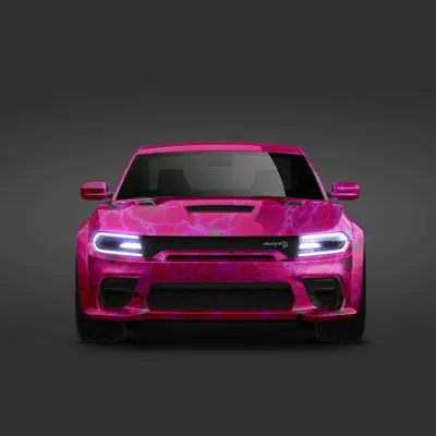 Trendy Cool Girl Customized Car Vinyl Wrap 02