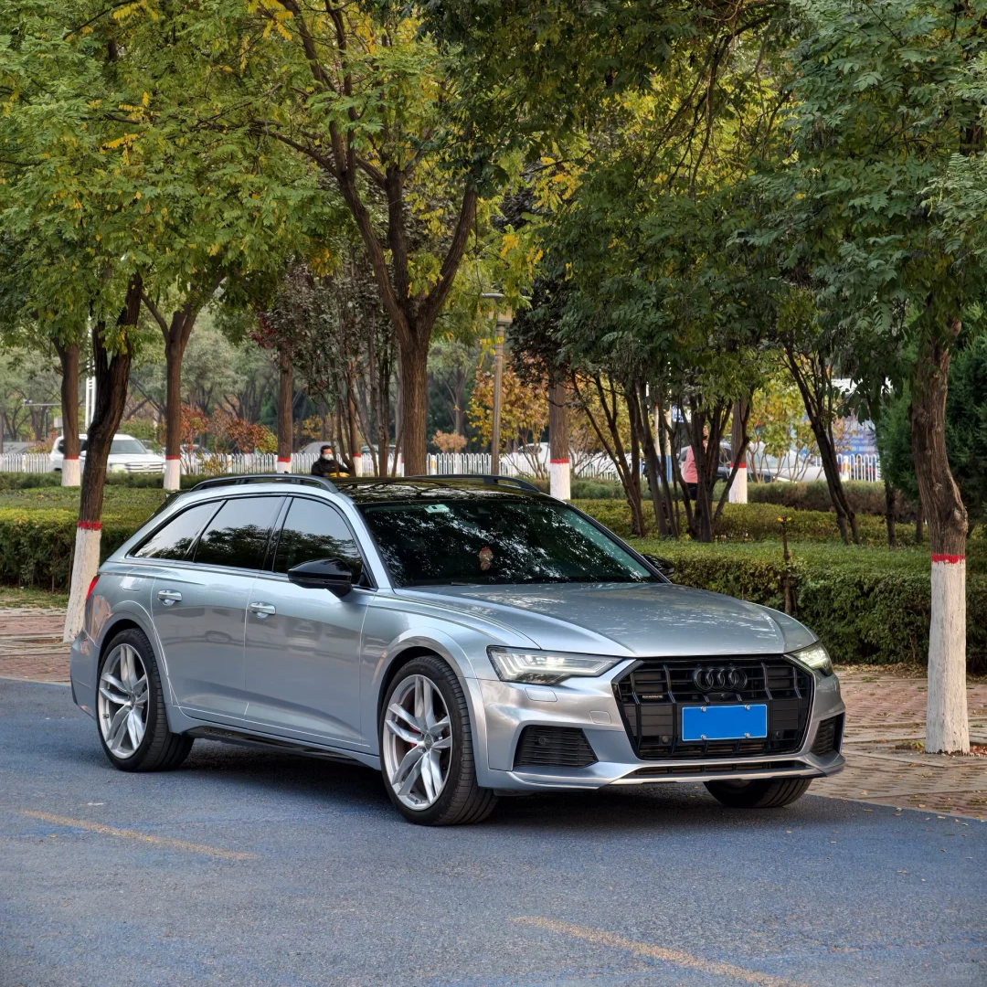 PET Fleuret Silver Car Vinyl Wrap