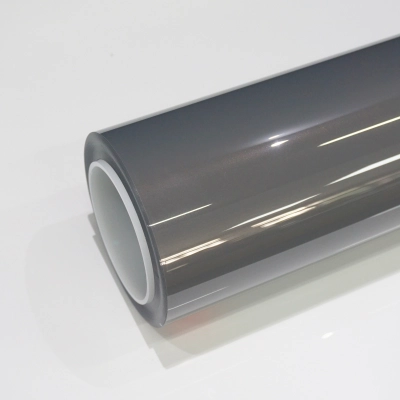 TPU Bernina Grey Paint Protection Film 01