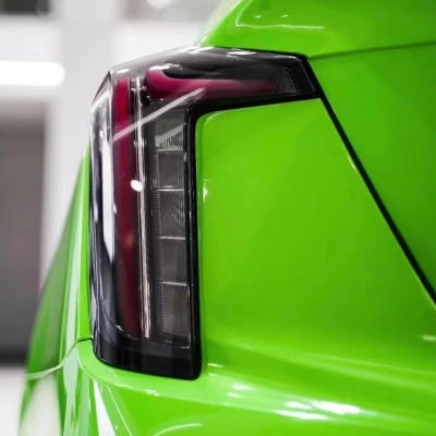 TPU Lizard Green Paint Protection Film 02