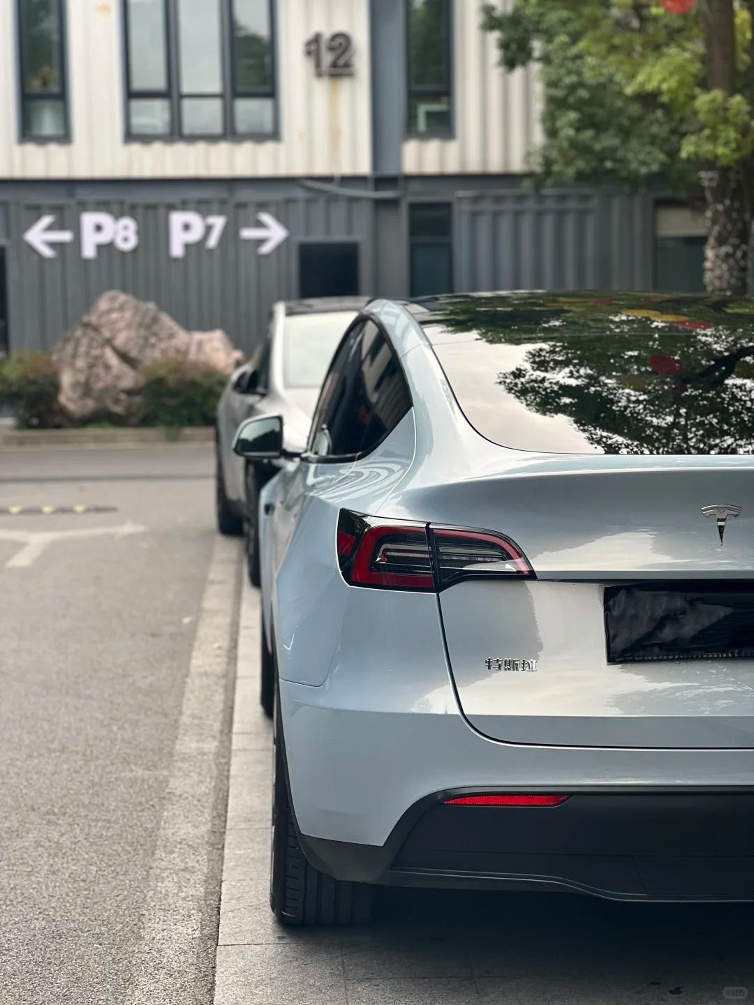 TPU Mako Blue Paint Protection Film