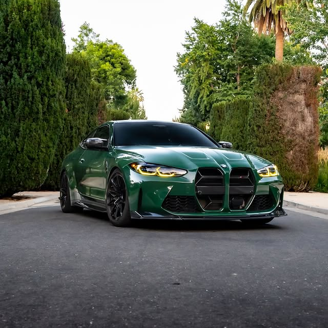 PET Porsche Racing Green Car Vinyl Wrap