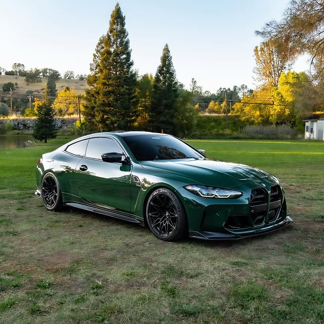 PET Porsche Racing Green Car Vinyl Wrap