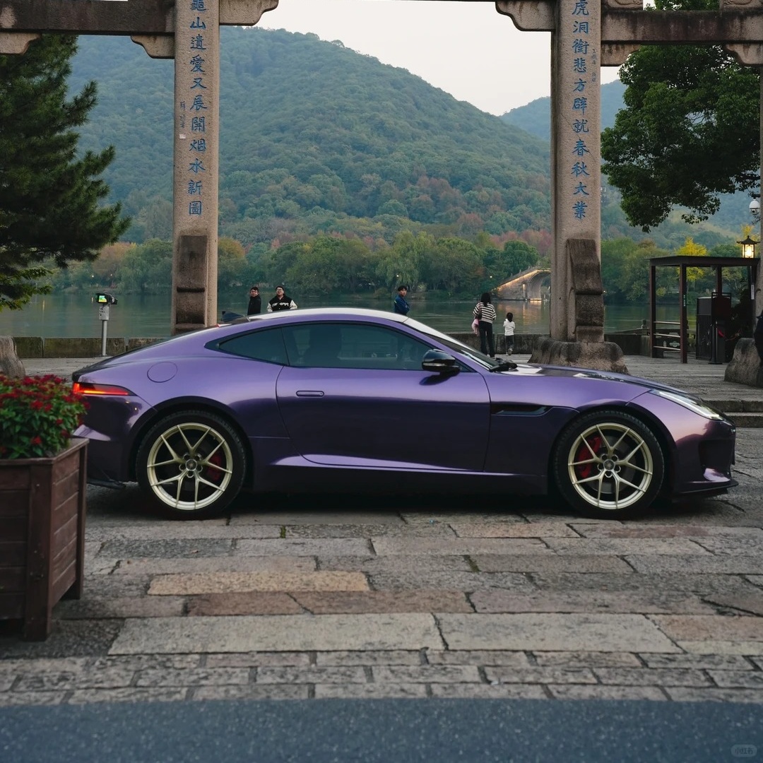 PET Rosemary Purple Car Vinyl Wrap