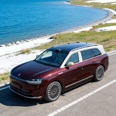 PET AITO Jin Rihong Red Car Vinyl Wrap 01