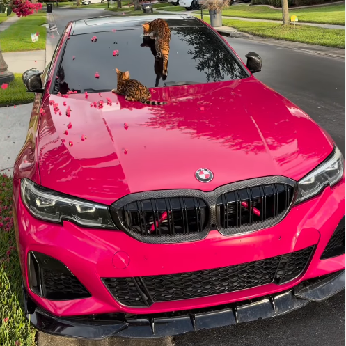 PET Super Gloss Rose Red Car Vinyl Wrap