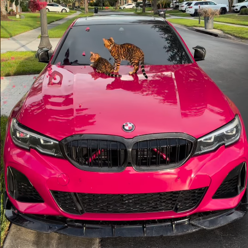 PET Super Gloss Rose Red Car Vinyl Wrap