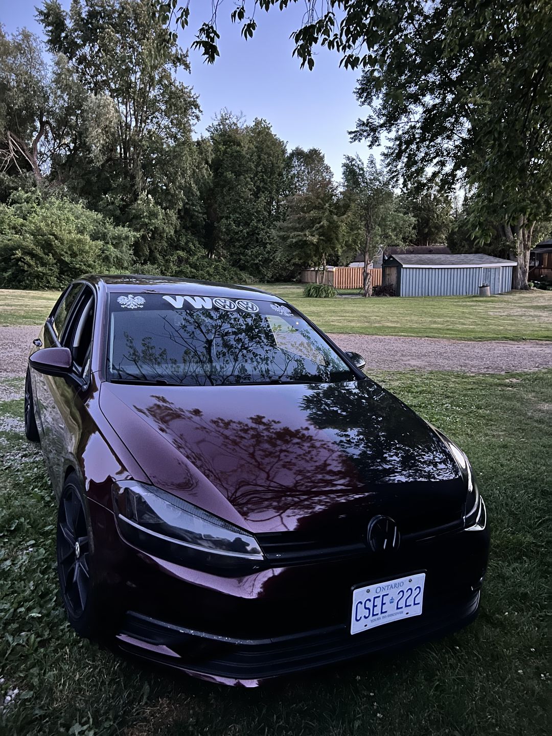 Gloss Metallic Black Rose Car Vinyl Wrap review 0