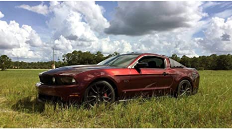 Gloss Metallic Black Rose Car Vinyl Wrap review 0