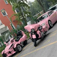 Gloss Rouge Pink Car Vinyl Wrap review 0