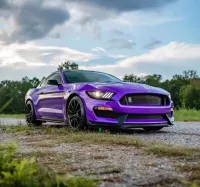 Gloss Metallic Plum Explosion Purple Car Vinyl Wrap review 0
