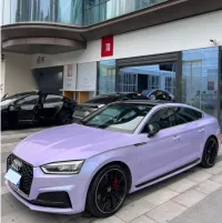 Twin-Color Silver Purple Car Vinyl Wrap  review 0