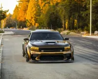 Gloss Metallic Midnight Gold Car Vinyl Wrap review 2
