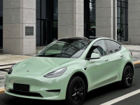 Super Gloss Light Khaki Grey Car Vinyl Wrap review 1