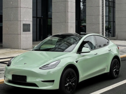 Super Gloss Light Khaki Grey Car Vinyl Wrap review shawn 02