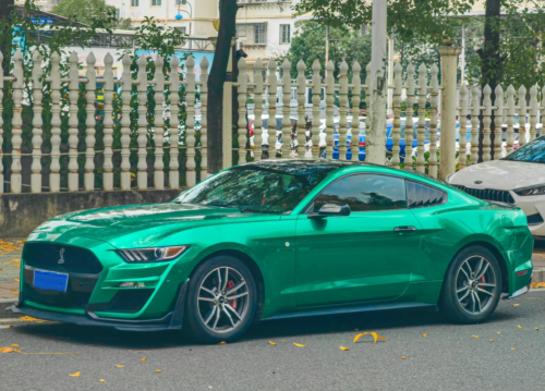Gloss Paint Metallic Isle Of Man Green review 